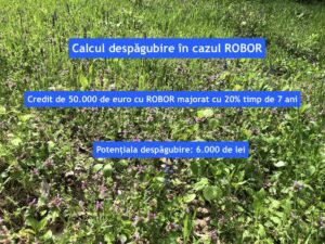 calcul despagubire robor